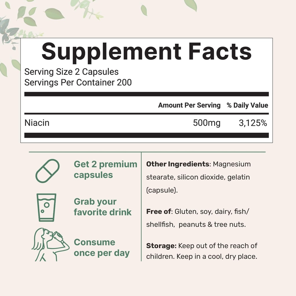 micro-ingredients-niacin-500mg-per-servi-2.jpg