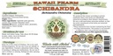 hawaii-pharm-schisandra-alcohol-free-liq-2.jpg
