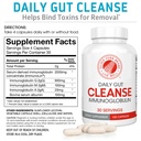 silver-fern-gut-rehab-kit-30-day-supply--3.jpg