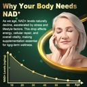 nad-supplement-with-liposomal-nicotinami-6.jpg