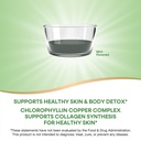 nature-s-way-chlorofresh-chlorophyll-dro-3.jpg