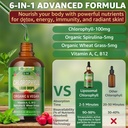 organic-chlorophyll-liquid-drops-liposom-6.jpg