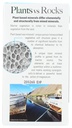 nature-s-answer-marine-based-magnesium-s-2.jpg