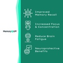 memoryup-sea-scallop-derived-plasmalogen-2.jpg