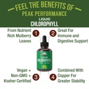 chlorophyll-liquid-drops-ultra-high-puri-2.jpg