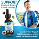 chlorophyll-liquid-drops-body-detox-lymp-6.jpg