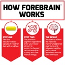forebrain-nootropic-brain-supplement-to--4.jpg