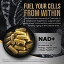 dlnia-liposomal-nad-supplement-nmn-alter-2.jpg