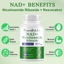 nifeishi-nad-supplement-nicotinamide-rib-4.jpg
