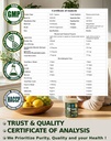 nad-supplement-liposomal-nicotinamide-ri-6.jpg