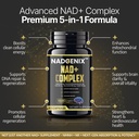nadgenix-nad-supplement-nmnh-500mg-nicot-2.jpg