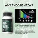 liposomal-nad-supplement-900mg-resveratr-6.jpg