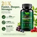 liposomal-nad-supplement-1200mg-7-in-1-n-4.jpg