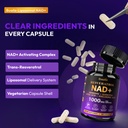 liposomal-nad-resveratrol-supplement-nad-6.jpg