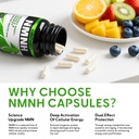 advanced-nmnh-supplement-dihydronicotina-5.jpg