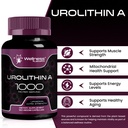 urolithin-a-supplement-capsules-1-000mg--3.jpg