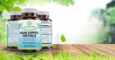 nootropic-brain-support-focus-supplement-2.jpg