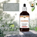 collinsonia-collinsonia-canadensis-dry-r-5.jpg