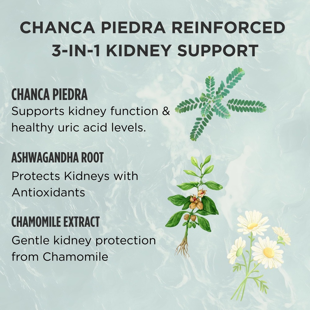 zuma-nutrition-kidney-gallbladder-clear--3.jpg