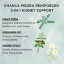 zuma-nutrition-kidney-gallbladder-clear--3.jpg