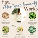 earthley-wellness-adaptogenic-immunity-s-5.jpg
