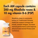 am-pm-multivitamin-cortisol-supplements--3.jpg