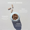 vtc-vitatradingco-cortisol-stress-comple-3.jpg