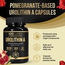 urolithin-a-capsules-500mg-1000mg-per-se-6.jpg