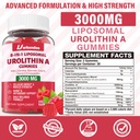 2-pack-3000mg-liposome-urolitin-a-gummie-2.jpg