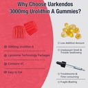 1-pack-3000mg-liposome-urolitin-a-gummie-5.jpg