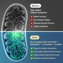 nad-supplement-1600mg-extra-strength-lip-3.jpg