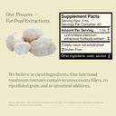 lions-mane-extract-double-extracted-frui-3.jpg