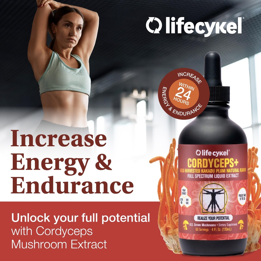 life-cykel-this-is-it-pack-chaga-lion-s--5.jpg