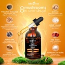 kiki-green-8-mushrooms-liquid-extract-dr-2.jpg