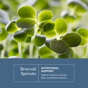eclectic-herb-organic-broccoli-sprouts-c-3.jpg