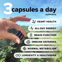 complement-sulfora-essential-multivitami-6.jpg
