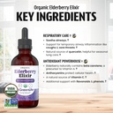 dr-green-mom-elderberry-syrup-organic-el-5.jpg