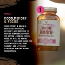stress-stack-mood-memory-brain-bone-marr-5.jpg