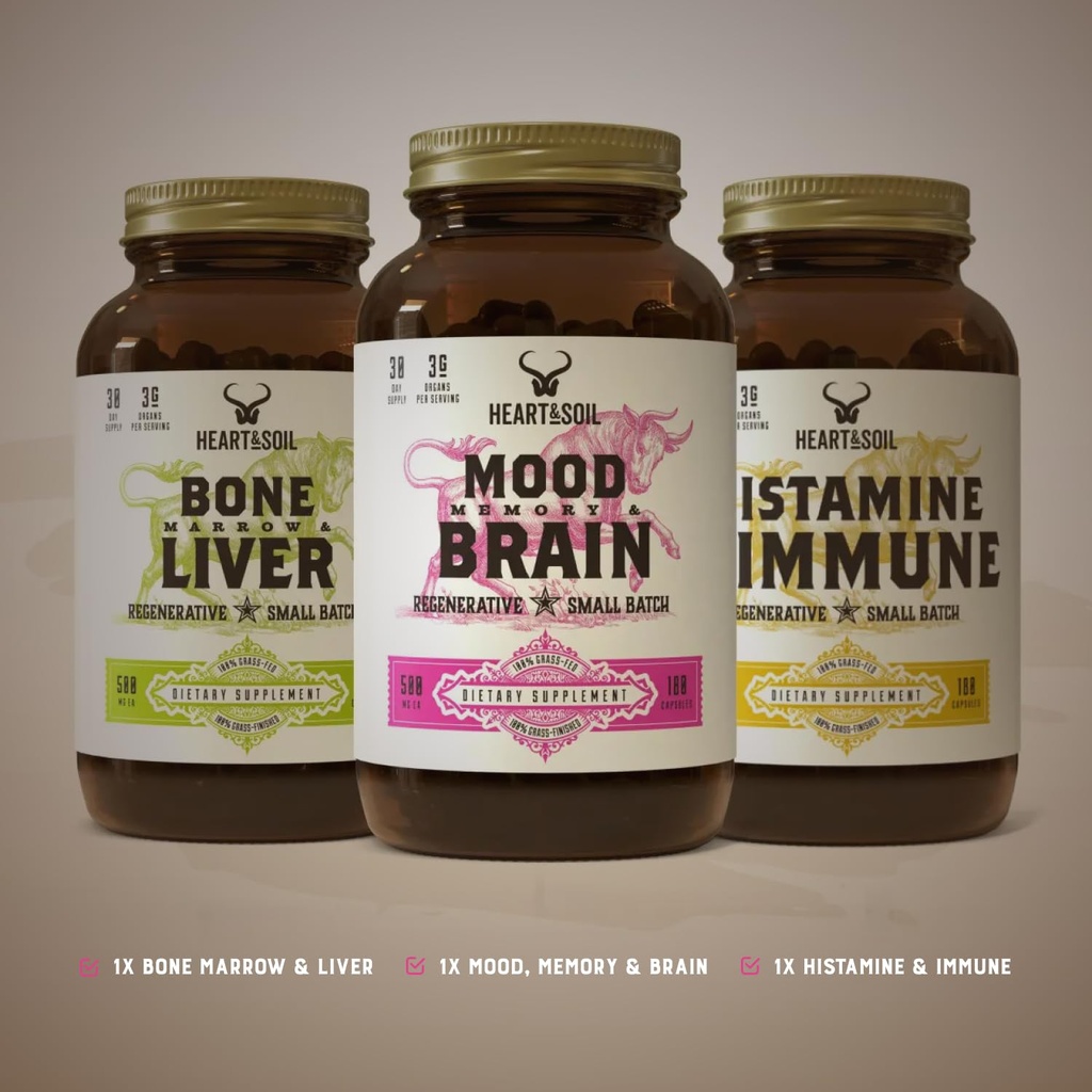 stress-stack-mood-memory-brain-bone-marr-3.jpg