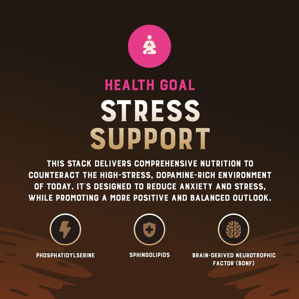 stress-stack-mood-memory-brain-bone-marr-4.jpg