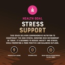 stress-stack-mood-memory-brain-bone-marr-4.jpg