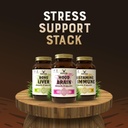 stress-stack-mood-memory-brain-bone-marr-2.jpg
