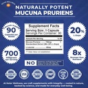 mucuna-pruriens-20-l-dopa-standardized-v-3.jpg