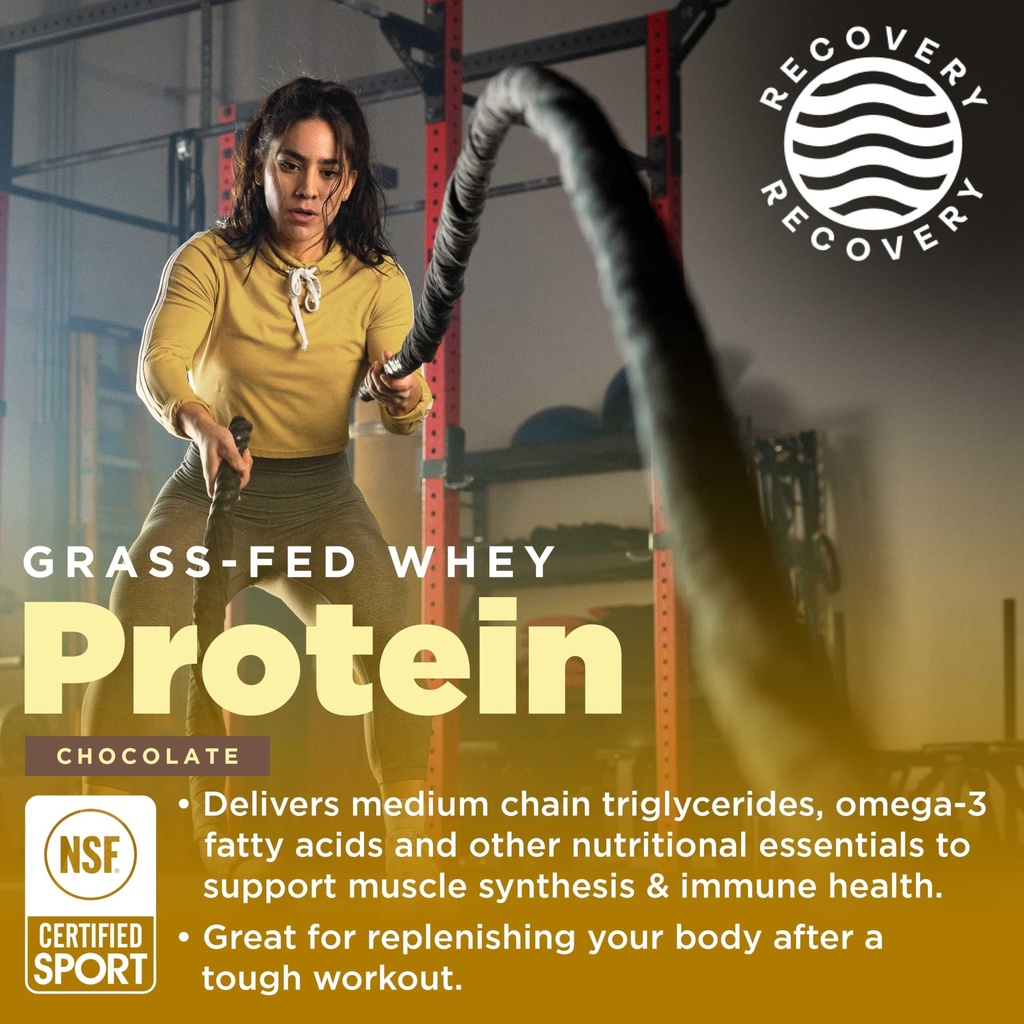 gnarly-nutrition-performance-greens-lemo-2.jpg