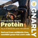gnarly-nutrition-performance-greens-lemo-3.jpg