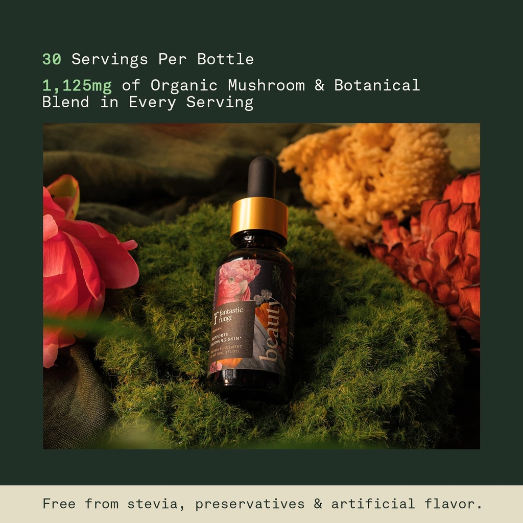 fantastic-fungi-beauty-elixir-with-treme-5.jpg