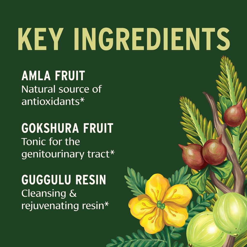 banyan-botanicals-gokshuradi-guggulu-pow-2.jpg