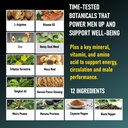 power-12-for-men-s-stamina-energy-male-e-4.jpg