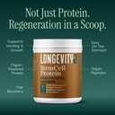 stem-cell-protein-powder-chocolate-bone--2.jpg