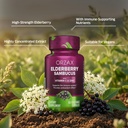 orzax-elderberry-capsules-immune-support-3.jpg